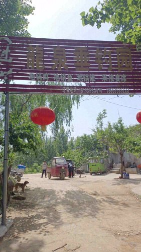 龙泉垂钓园钓点与钓场环境照片