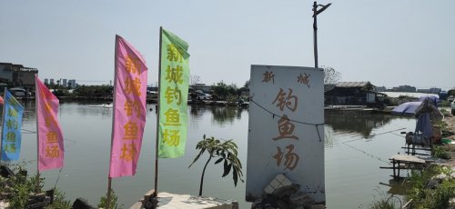 北滘新城钓鱼场钓点与钓场环境照片