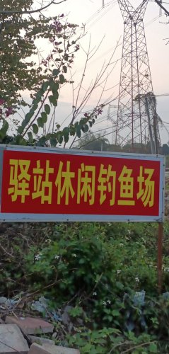 驿站休闲钓鱼场钓点与钓场环境照片