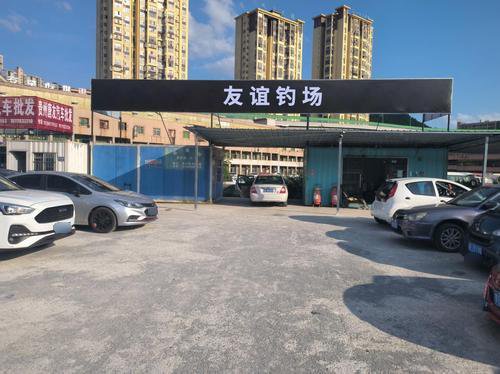 友谊钓场钓点与钓场环境照片