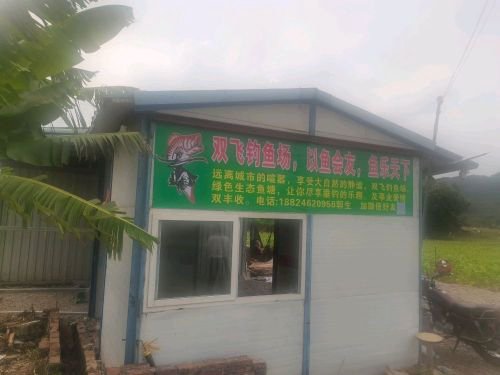 双飞钓鱼场钓点与钓场环境照片