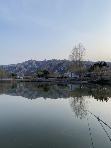 港西垂钓园钓点与钓场环境照片