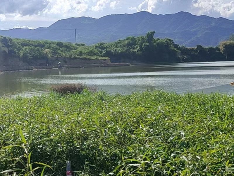 山边渔乐钓场钓场环境照片