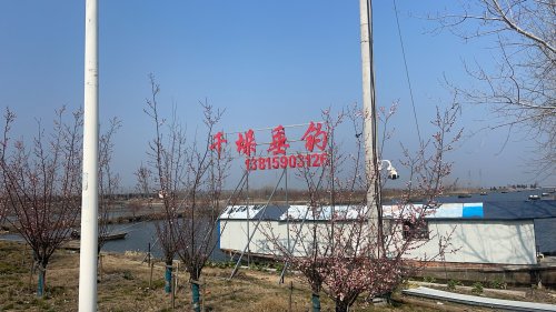 千垛垂钓钓场环境照片
