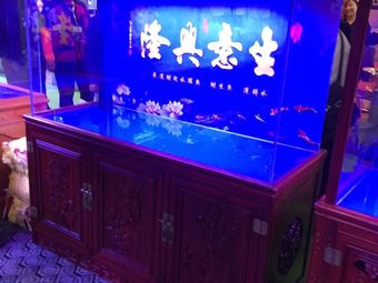 虹红渔具水族渔具店门店照片