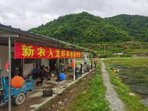 新农人龙虾养殖垂钓园钓点与钓场环境照片