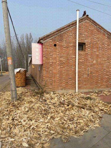 小刘庄垂钓园钓点与钓场环境照片