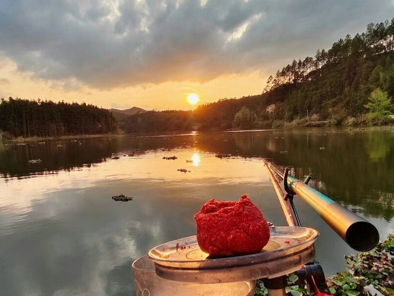 白鹤山钓鱼场钓场环境照片