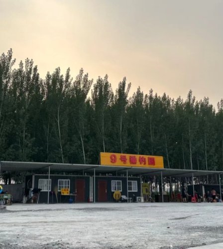 9号垂钓园钓场环境照片