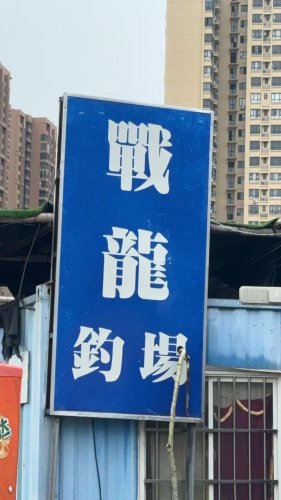 战龙钓场钓场环境照片