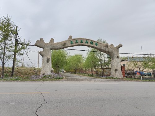 东卫生态钓场钓场环境照片