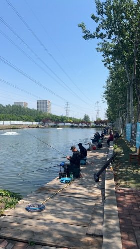 玉合农庄小张总垂钓园钓点与钓场环境照片