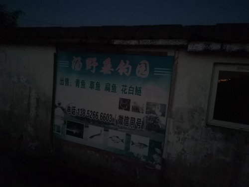 汤野垂钓园钓场环境照片