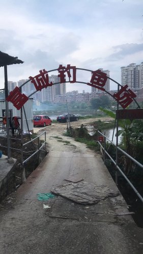 富诚钓鱼场钓点与钓场环境照片