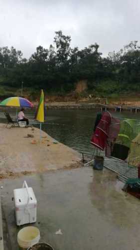 鱼乐青鱼钓场钓点与钓场环境照片