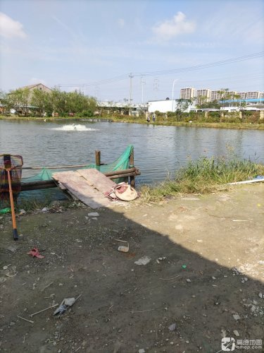 滨海垂钓园钓点与钓场环境照片