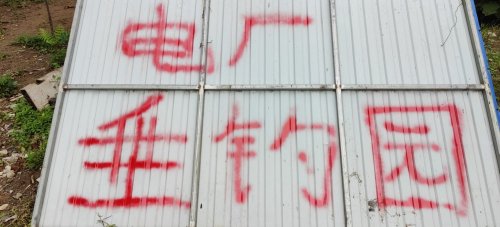 电厂垂钓园钓点与钓场环境照片