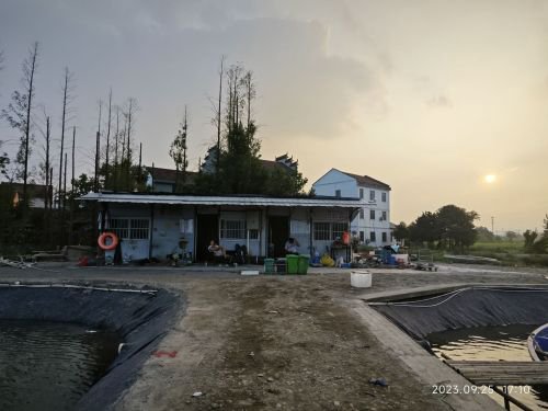 杨方挖机钓场钓点与钓场环境照片
