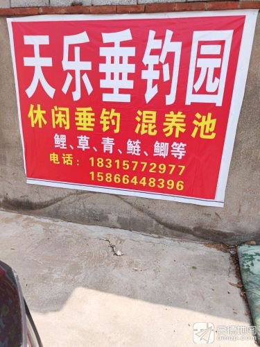 天乐钓场(高柴河村)钓点与钓场环境照片
