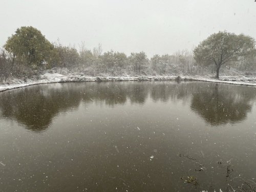双塘娱乐垂钓园钓场环境照片