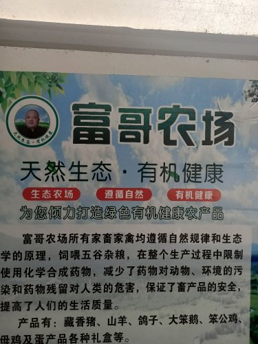富哥休闲垂钓会所钓点与钓场环境照片