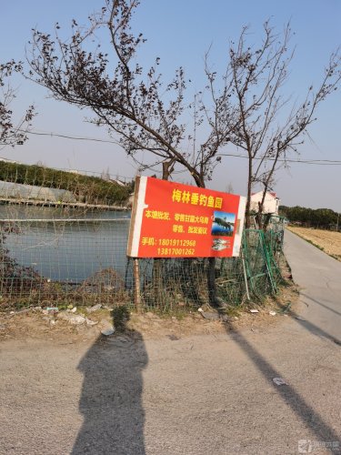 梅林垂钓园钓点与钓场环境照片