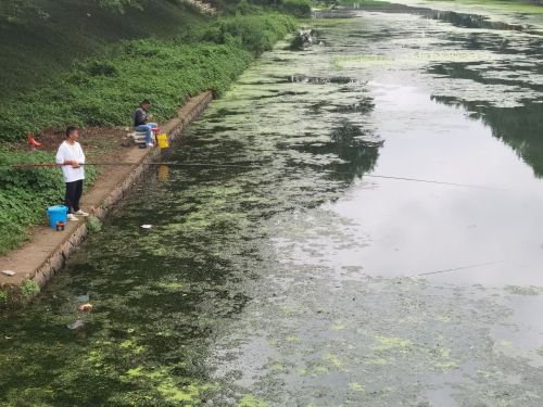 义乌大陈钓鱼点钓点与钓场环境照片