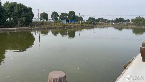 西村圣园休闲垂钓钓场环境照片