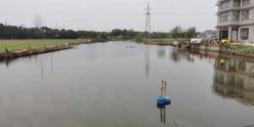 常熟渔夫子垂钓中心钓场环境照片