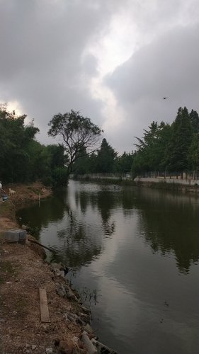 鱼儿飞垂钓餐饮钓点与钓场环境照片