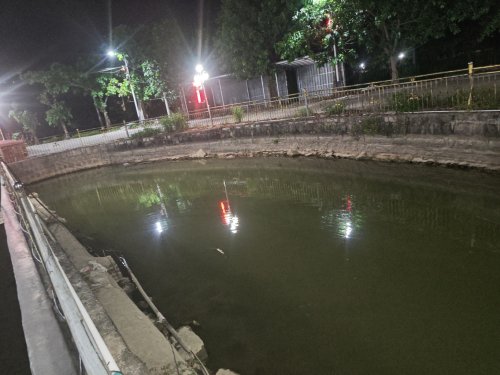 顶寨鱼塘钓点与钓场环境照片