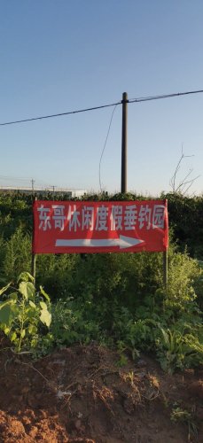 东哥的休闲度假垂钓园钓场环境照片