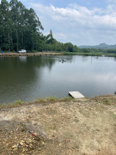 水二钓场钓点与钓场环境照片
