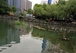 艮山运河公园钓点与钓场环境照片