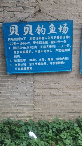 贝贝钓鱼场钓场环境照片