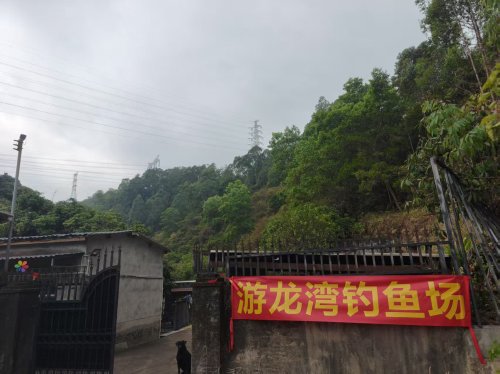 游龙湾钓鱼场钓点与钓场环境照片