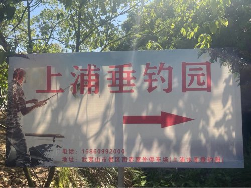 上浦垂钓园钓场环境照片
