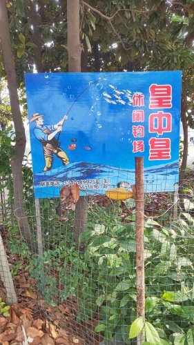 溧阳皇中皇休闲钓场钓场环境照片