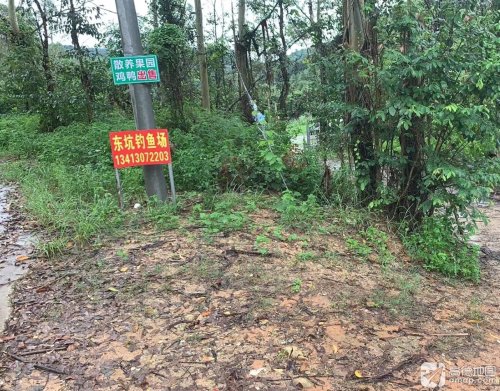 中径东坑钓场钓点与钓场环境照片