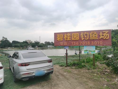 碧桂园钓鱼场钓场环境照片