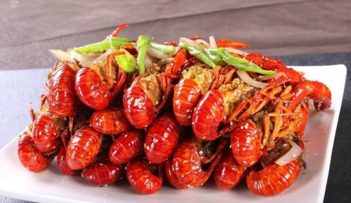 钱码头兄弟龙虾垂钓园钓点与钓场环境照片