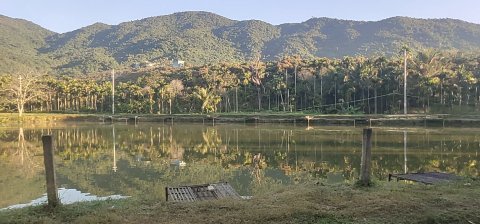 大茅山庄休闲垂钓园钓场环境照片