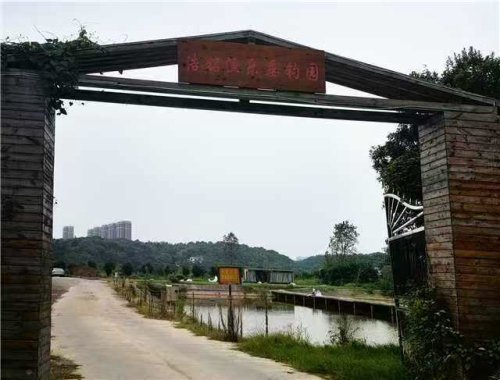 浩铭漁乐垂钓园钓点与钓场环境照片