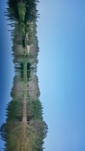 龙潭垂钓园钓点与钓场环境照片