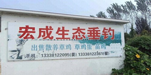 宏成生态垂钓钓场环境照片