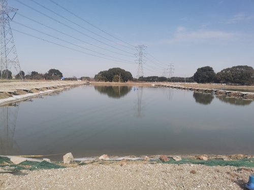 岸头垂钓钓场环境照片