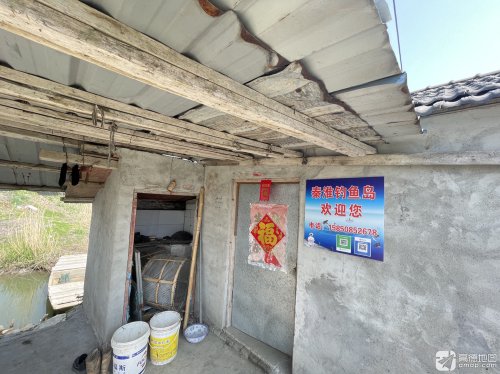 秦淮钓鱼岛钓场环境照片