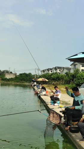 郑岙垂钓园钓点与钓场环境照片