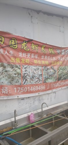 田园龙虾钓场钓场环境照片