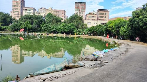 黄背坑钓鱼场钓点与钓场环境照片